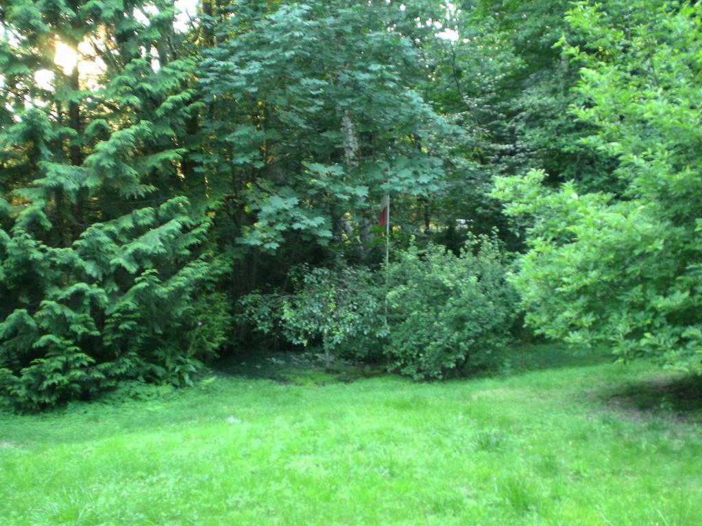 Davis Brook Retreat Bed & Breakfast Сешелт Екстериор снимка