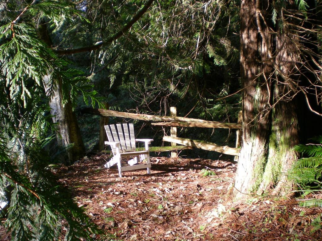 Davis Brook Retreat Bed & Breakfast Сешелт Екстериор снимка
