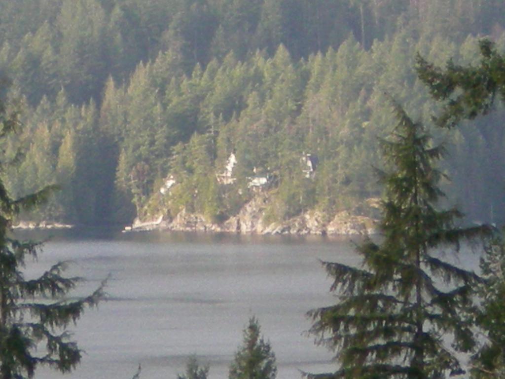 Davis Brook Retreat Bed & Breakfast Сешелт Екстериор снимка